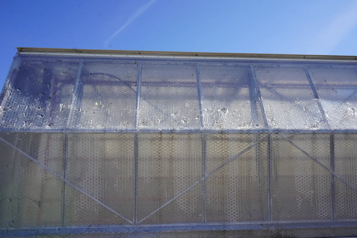 Man sieht ein kleines mit Plastikfolie überzogenes Gewächshaus. Die Folie ist beschädigt durch den Hagel.